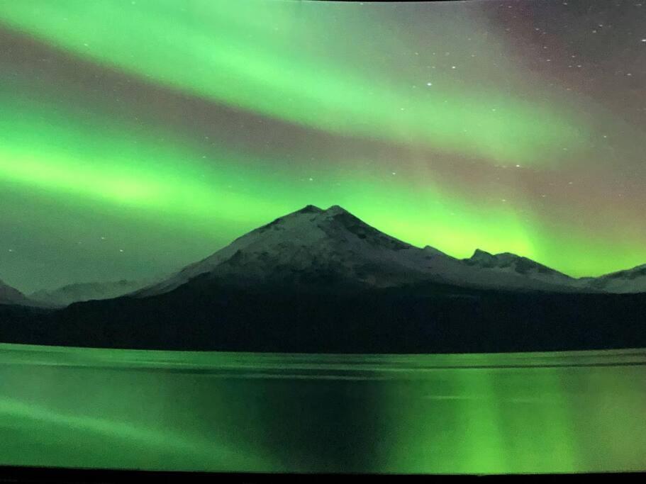 Northern Light Tromsø Extérieur photo